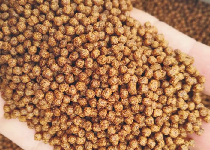 Floating fish feed